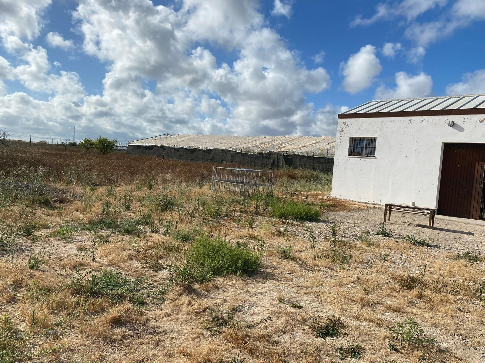 FINCA RÚSTICA EN ROTA- ZONA "EL BERCIAL" - foto 5