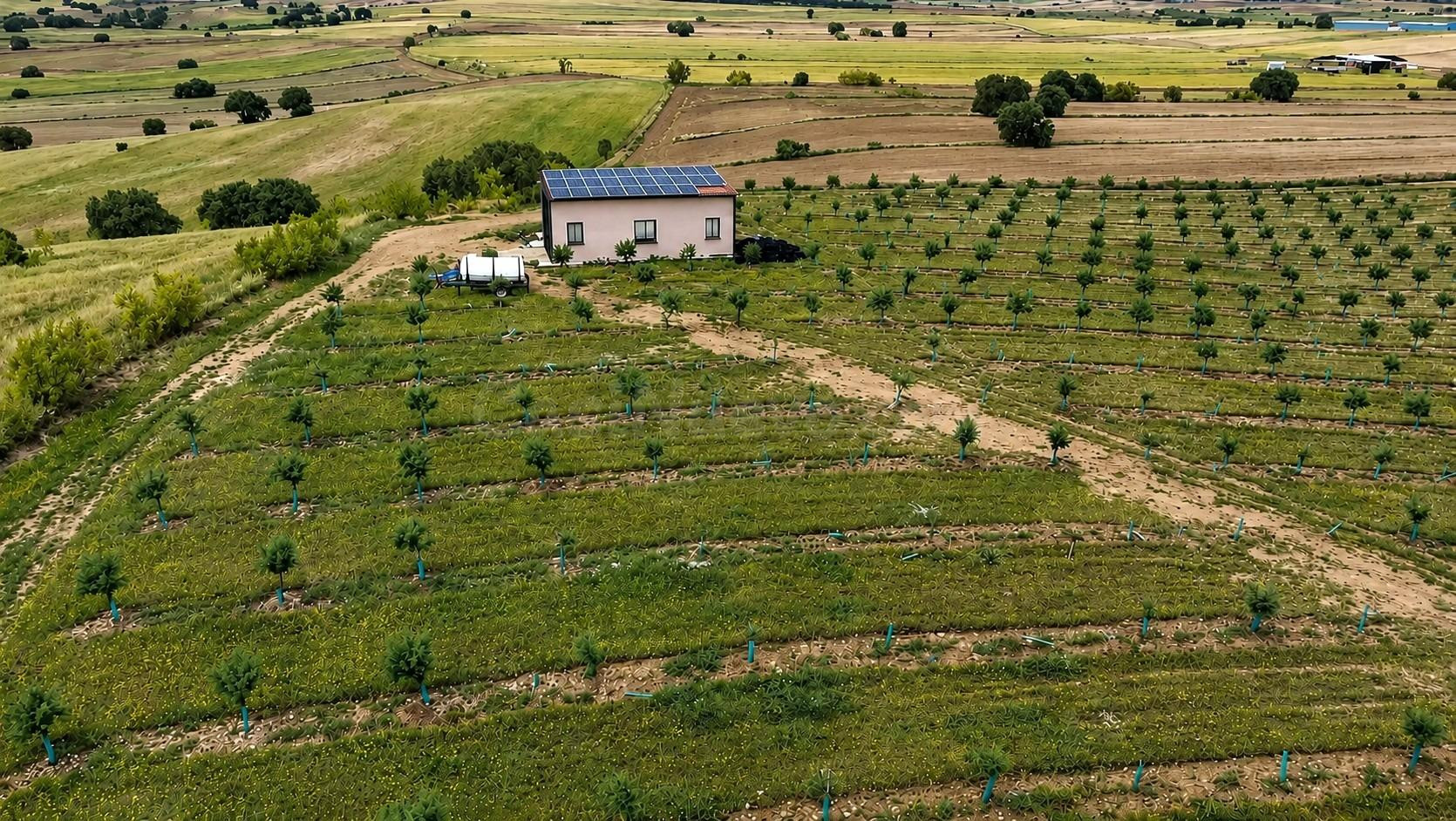 ^^FINCA AGRÍCOLA Y DE RECREO EN TOLEDO – 17 HECTÁREAS CON CA - foto 2