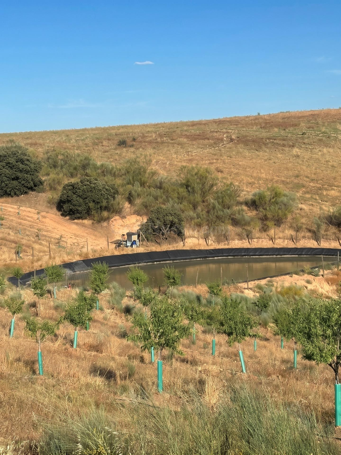 ^^FINCA AGRÍCOLA Y DE RECREO EN TOLEDO – 17 HECTÁREAS CON CA - foto 5