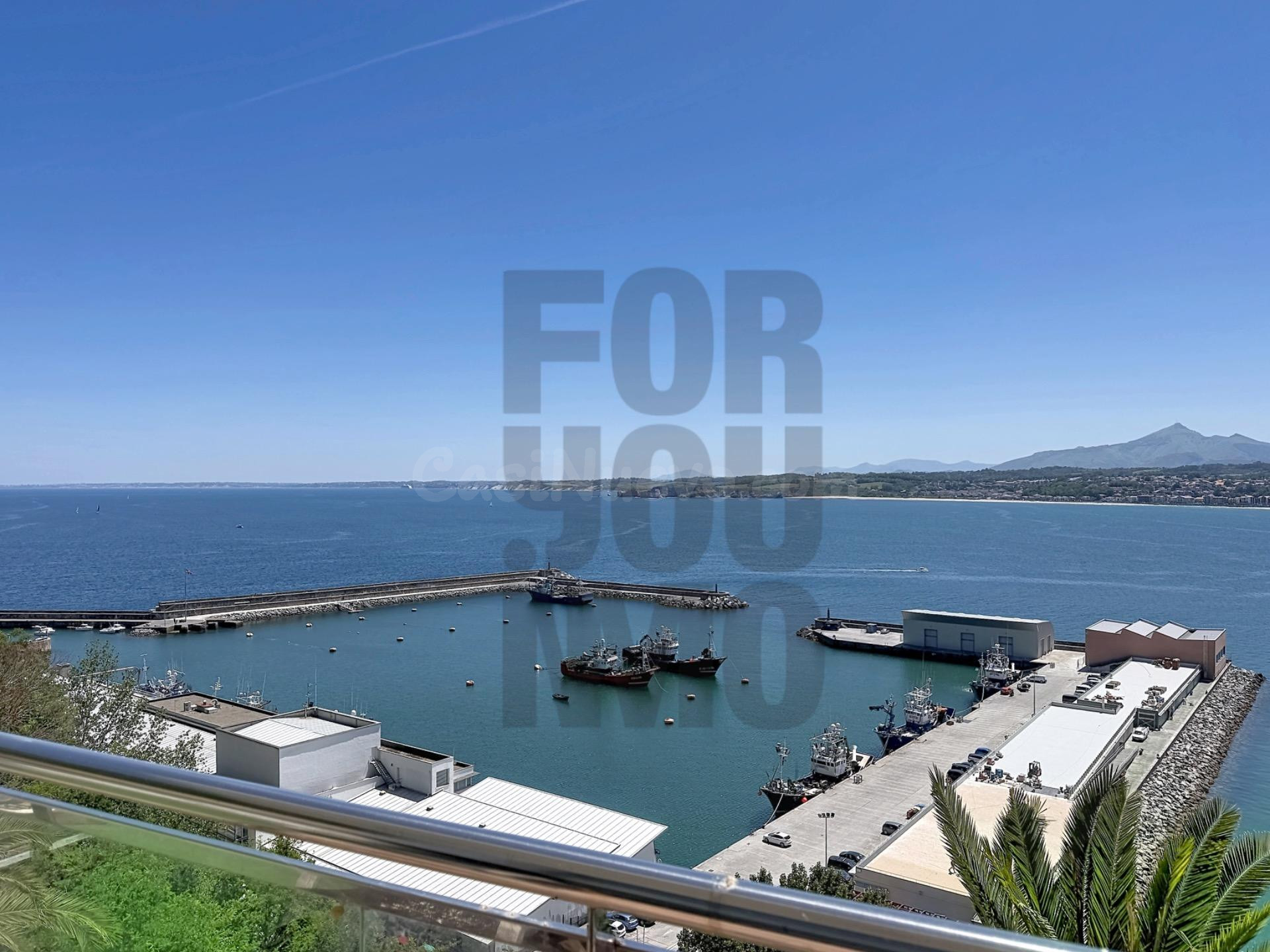 Cuando el mar, el puerto y el horizonte forman parte de tu h - foto 2