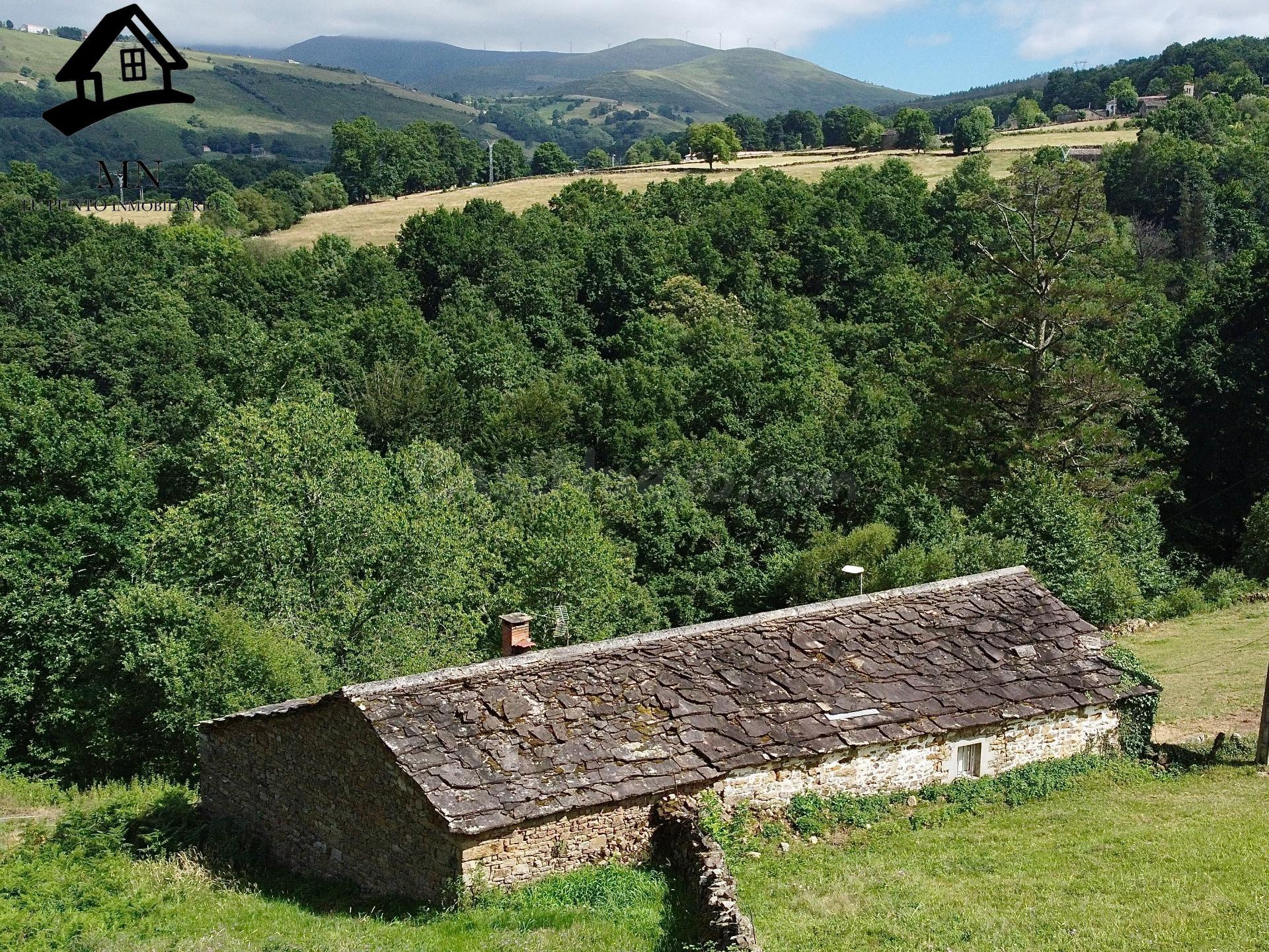 Espectacular finca pasiega en San Pedro del Romeral: 2 Cabañ - foto 4