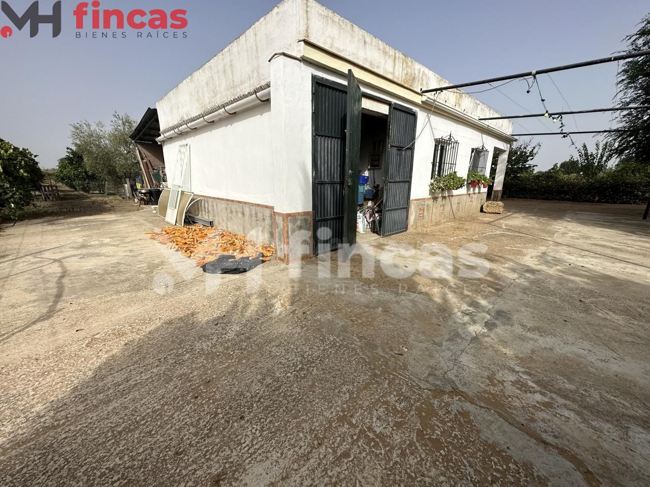 FINCA DE LABOR CON VIVIENDA, POZO Y LUZ EN UTRERA - foto 3