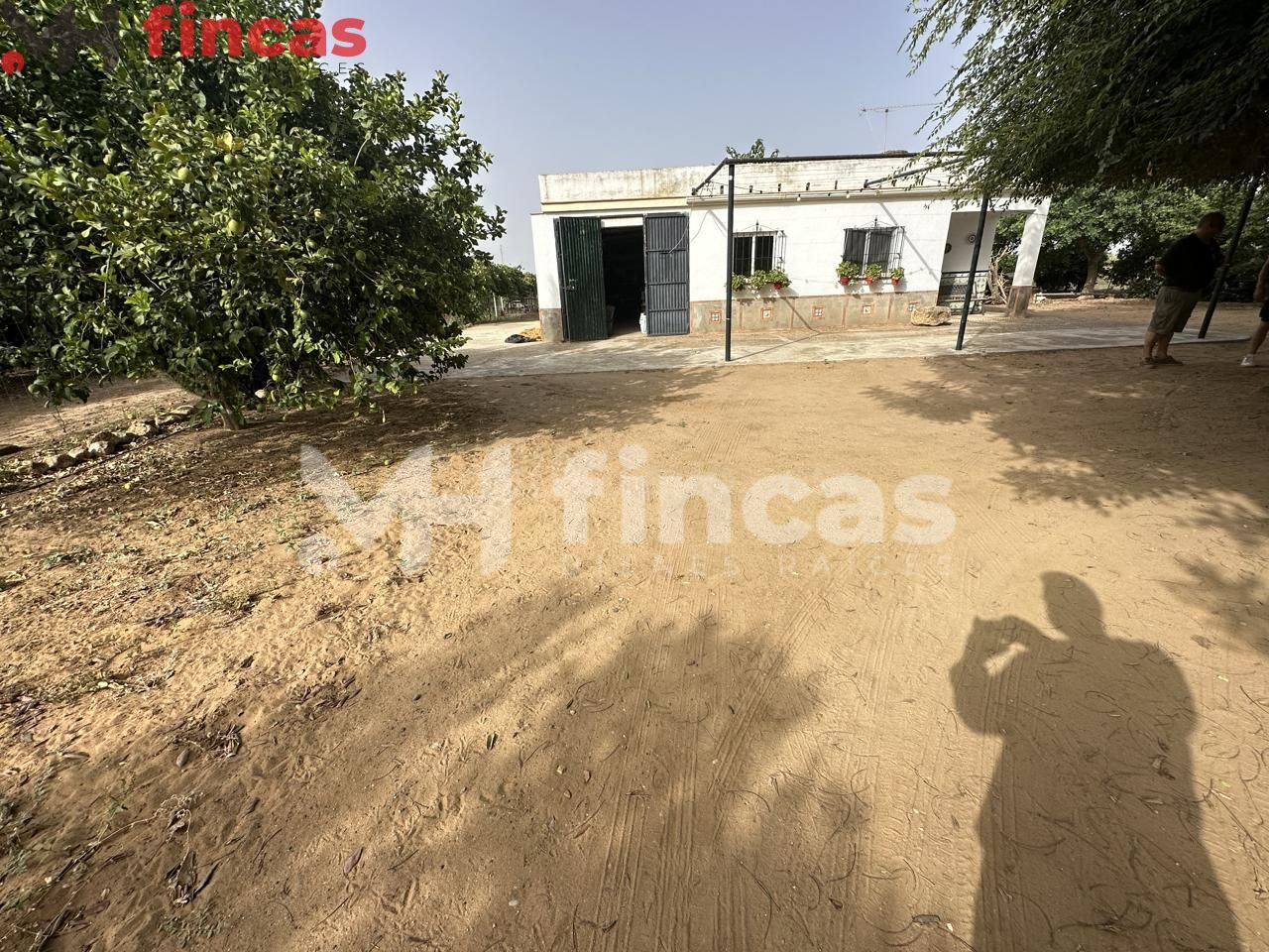 FINCA DE LABOR CON VIVIENDA, POZO Y LUZ EN UTRERA - foto 5