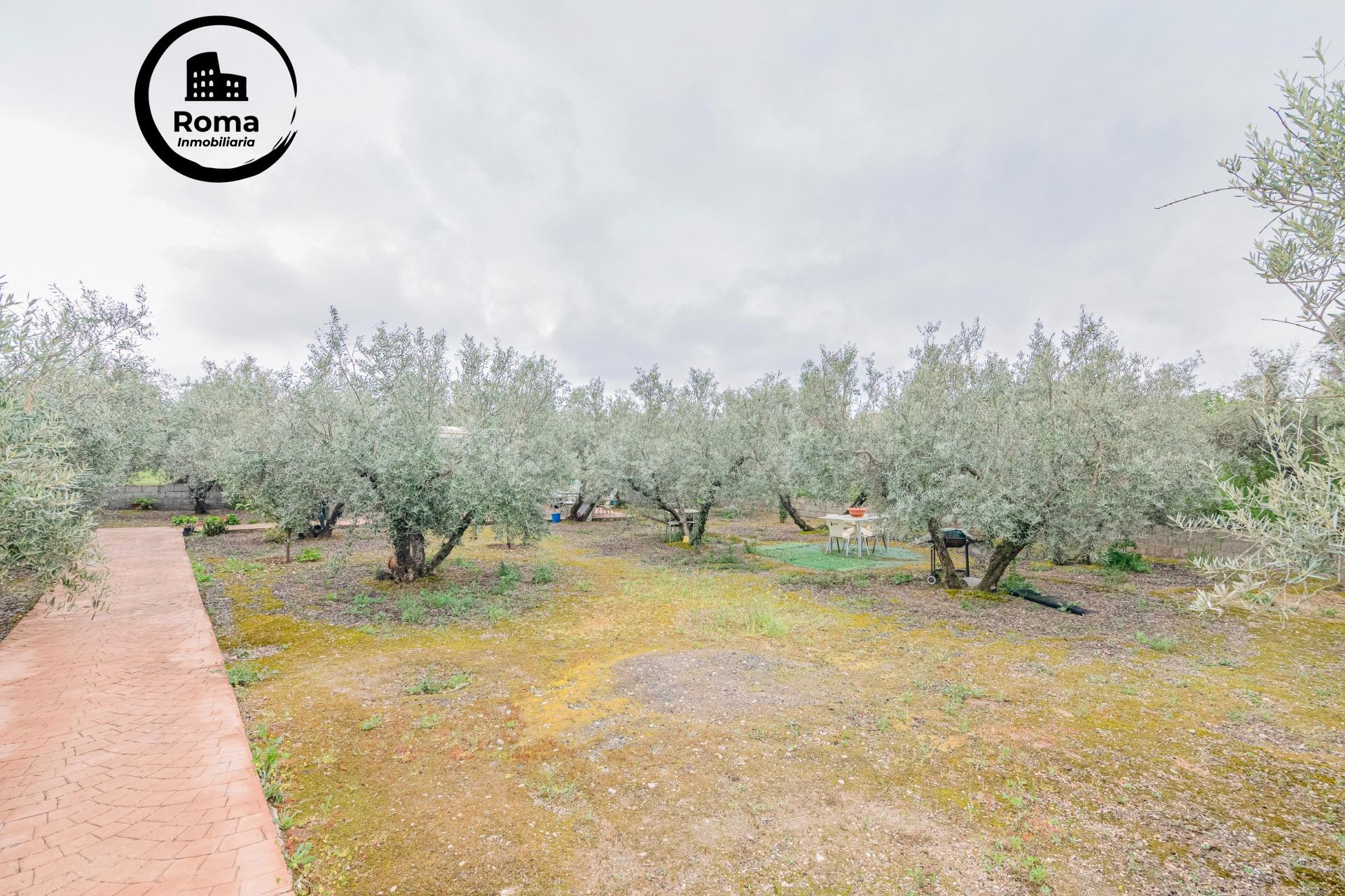 Terreno con Mobile Home - foto 4