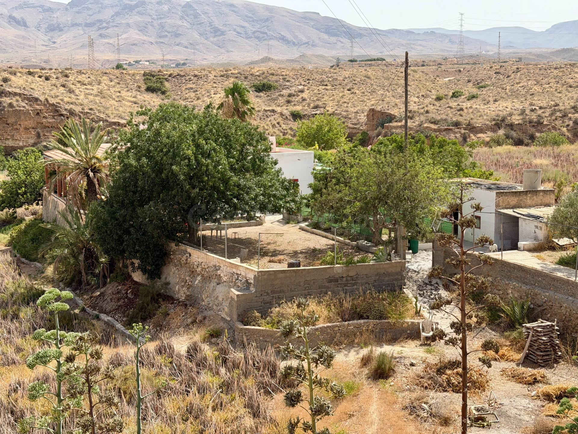 Espectacular finca rústica con más de 75.000 m2, vivienda, piscina y más de 400 olivos a solo 15 minutos de Almería