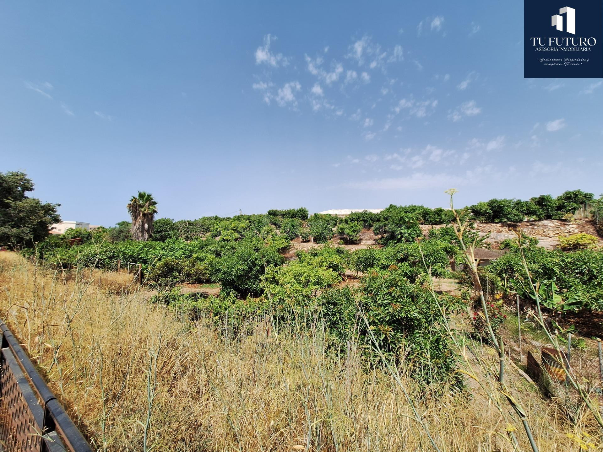 Terreno en Nerja (Verano Azul) - foto 4