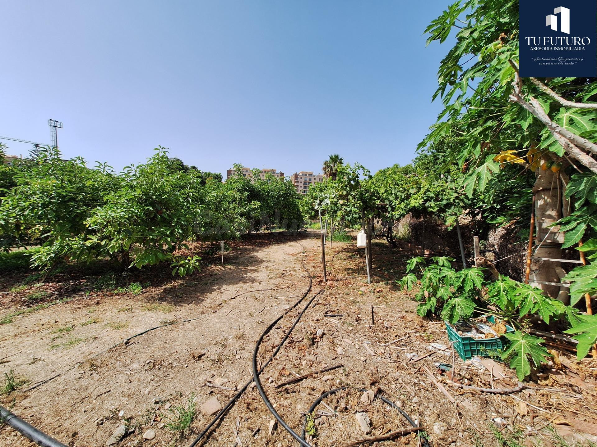 Terreno en Nerja (Verano Azul) - foto 5
