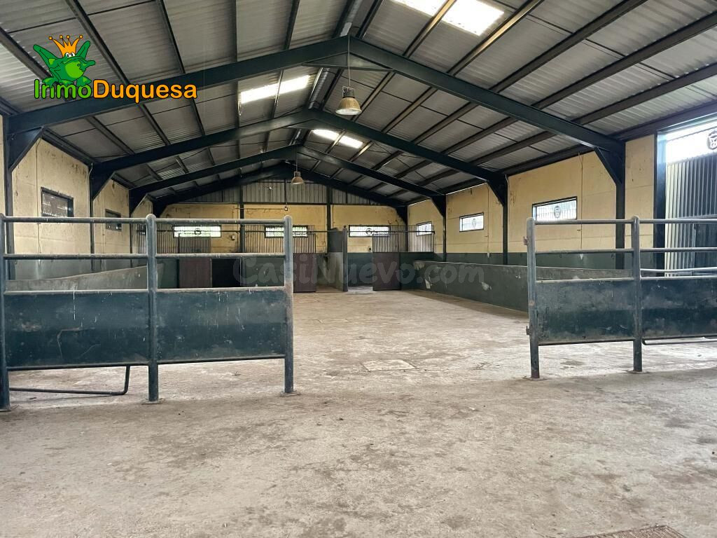 Finca CINEGÉTICA en Córdoba con más de 1.300 hectáreas reple - foto 4