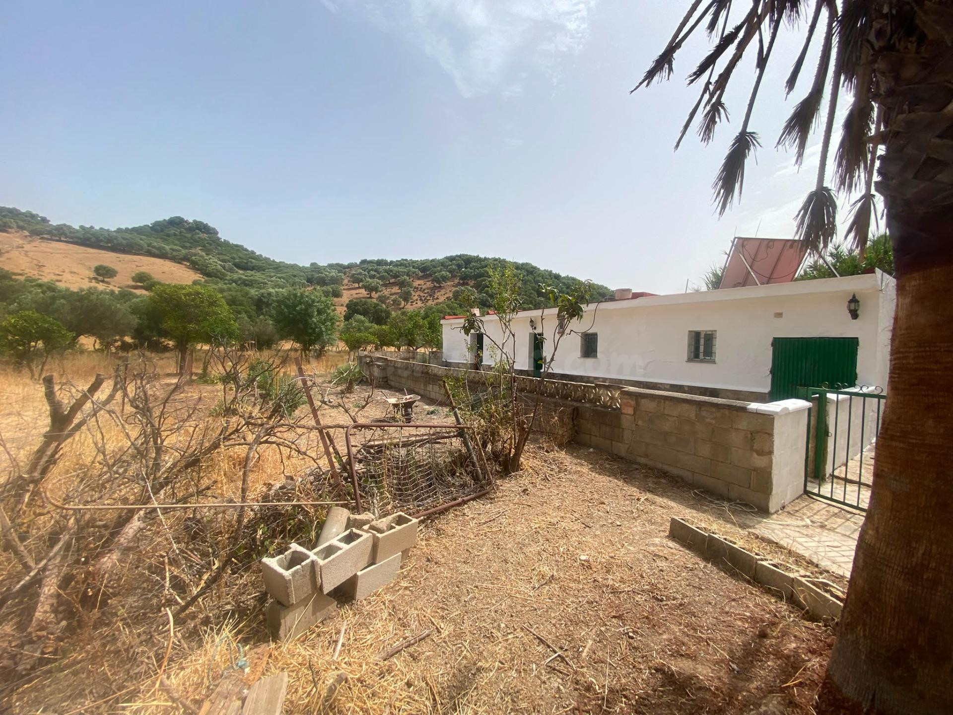 Finca rústica de 4 hectáreas con vivienda y varias construcc - foto 5