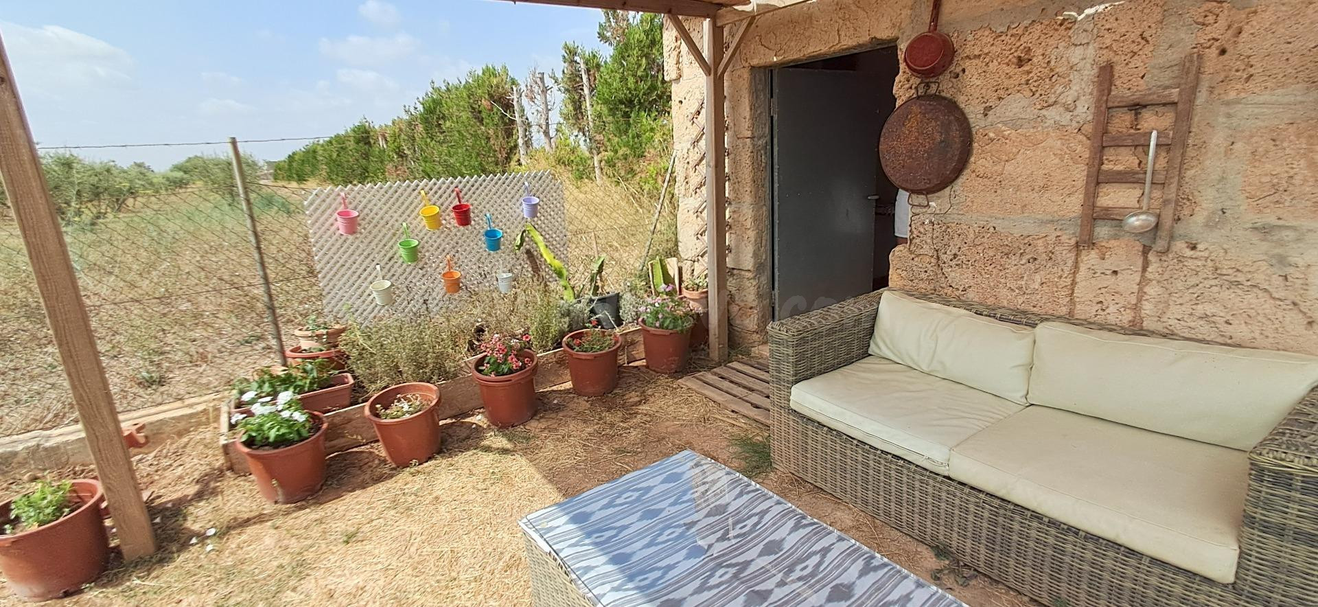 🌿 FINCA RÚSTICA EN MURO – DOS PARCELAS TOTAL 5.594 m2, CASET - foto 4