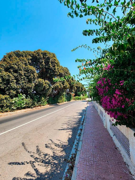Exclusiva vivienda adosada de 4 dormitorios en Los Altos, junto a Punta Prima - foto 4