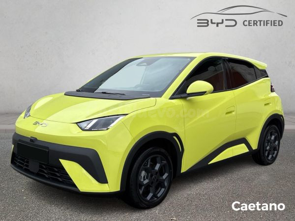 BYD Dolphin Surf