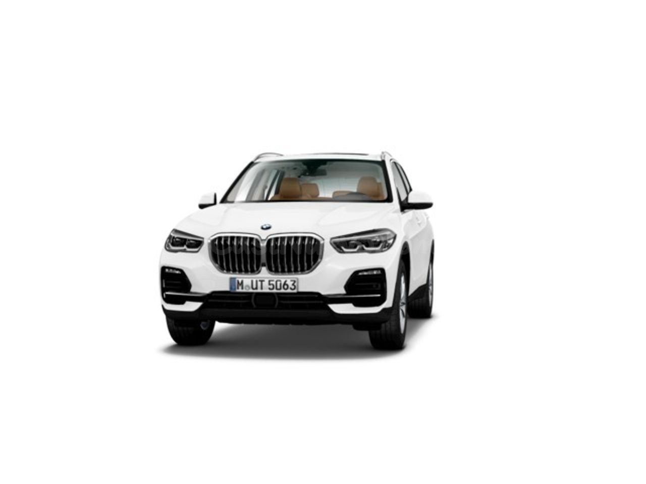BMW X5 xdrive30d 195 kw (265 cv)