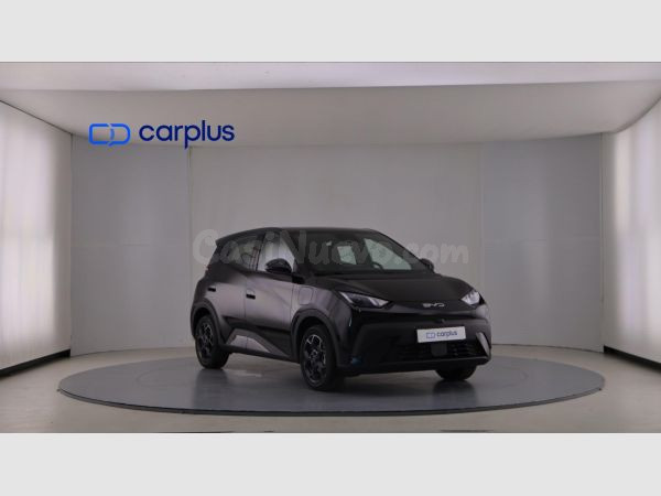 BYD Dolphin Surf