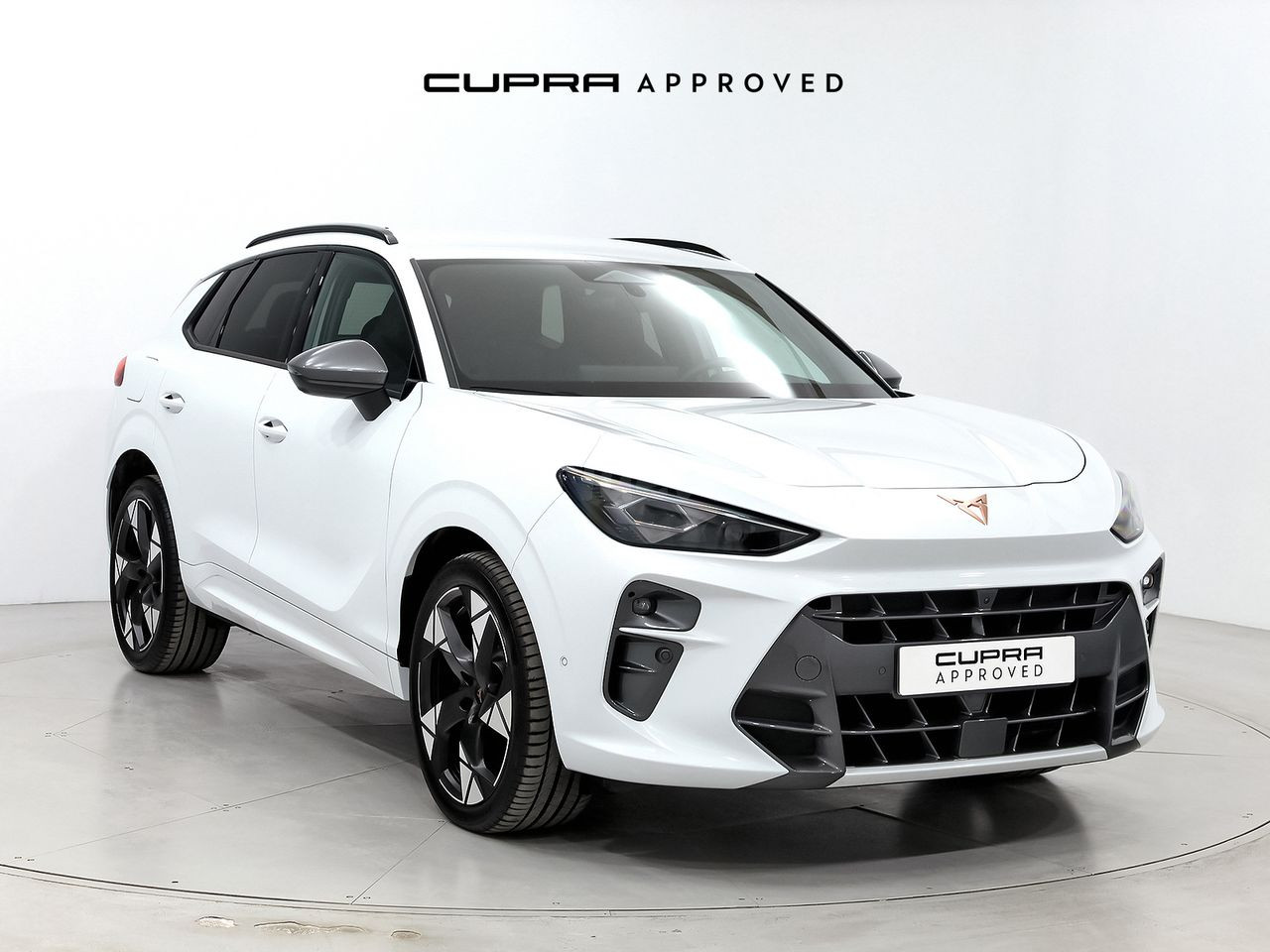 Cupra Terramar 1.5 ETSI MHEV 150 DSG 5P