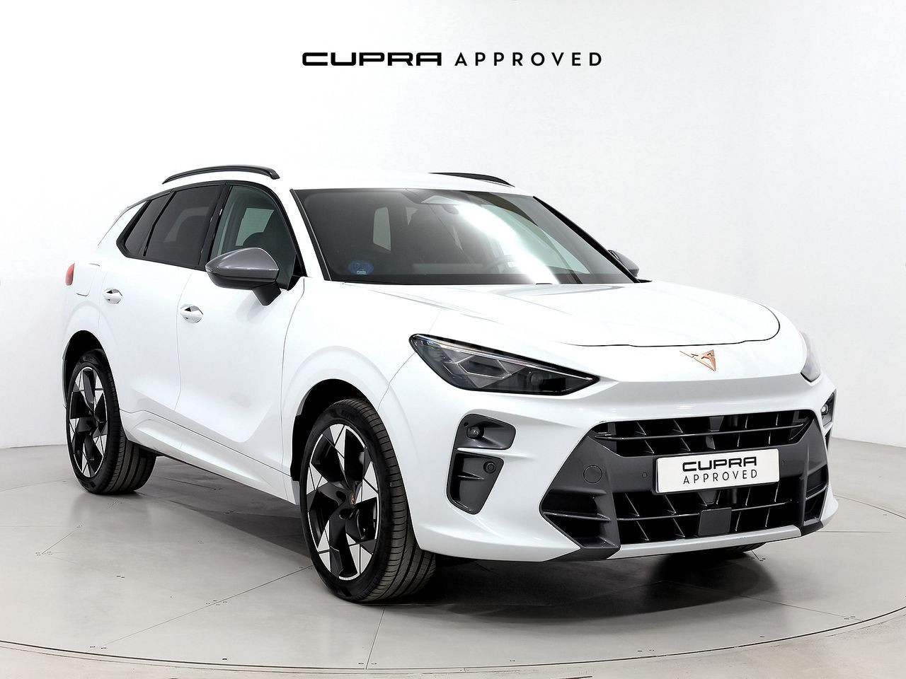 Cupra Terramar 1.5 PHEV 204 DSG 5P
