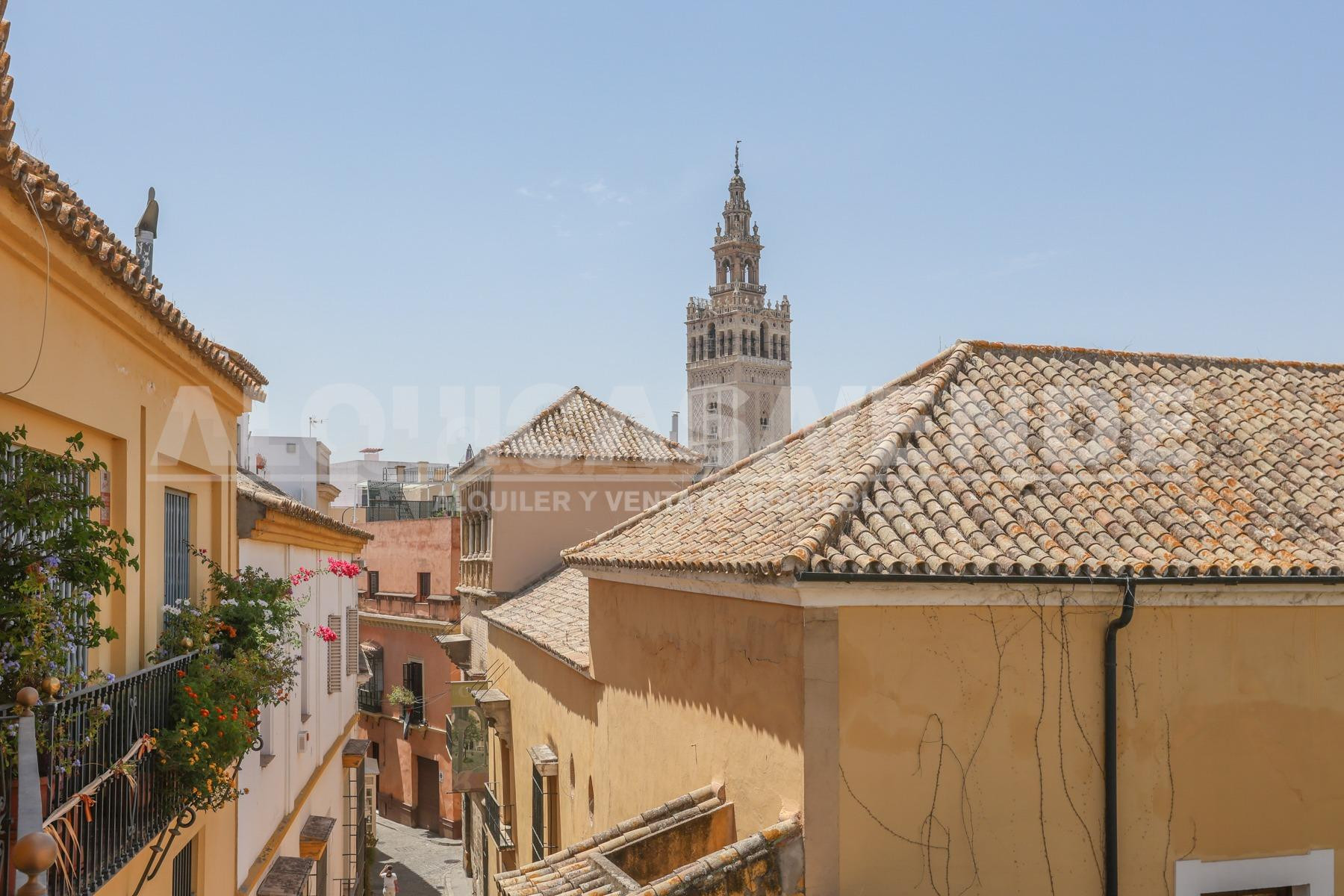 Casco Historico de Sevilla. Excelente vivienda con calidades de lujo. Garaje y Trastero