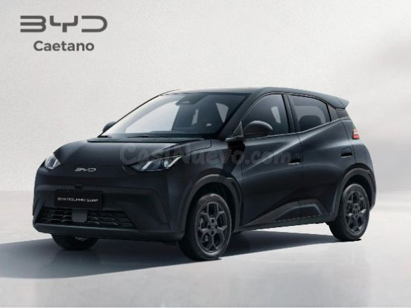 BYD Dolphin Surf