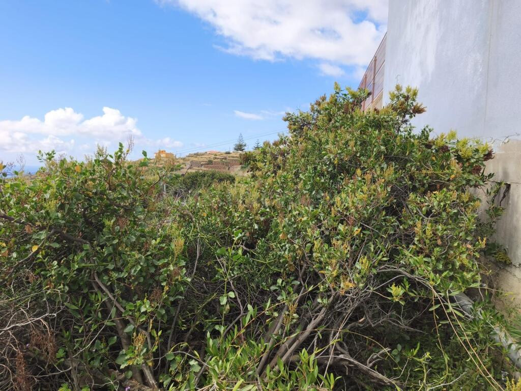 TERRENO URBANO DE 222M2 EN BARRANCO HONDO, CANDELARIA, ISLAS - foto 3