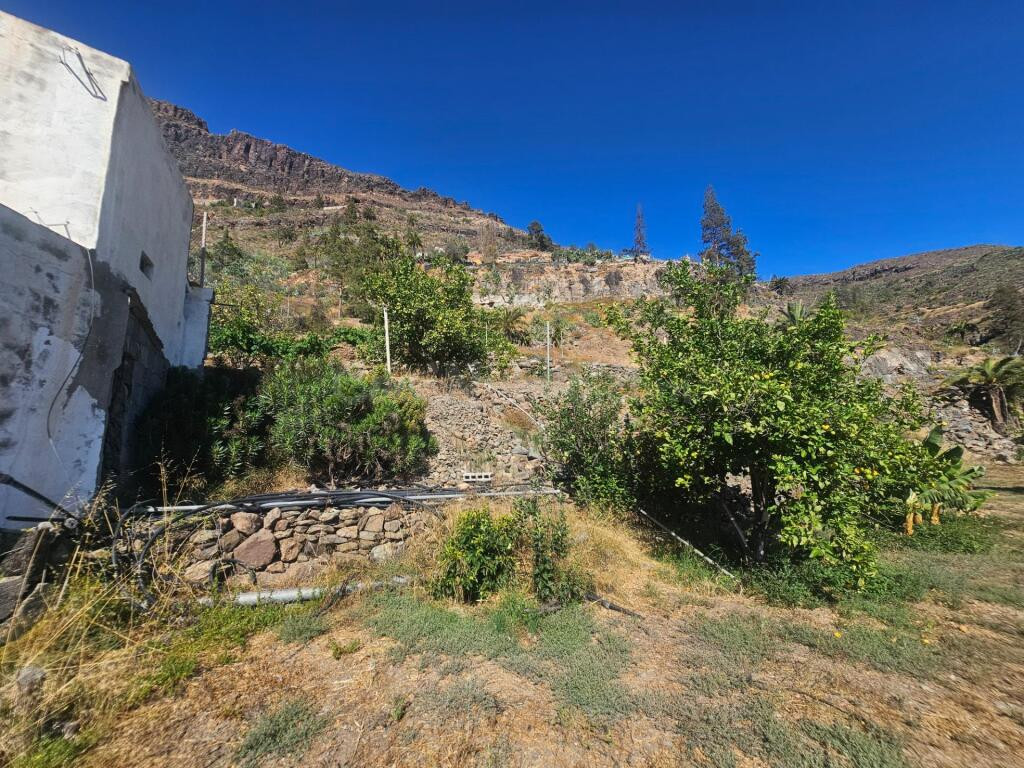Finca rústica con vivienda, segunda edificación y 17.000 m2  - foto 3