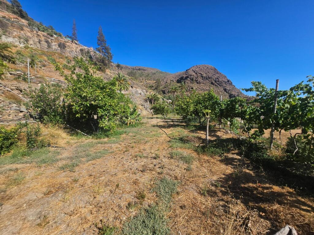 Finca rústica con vivienda, segunda edificación y 17.000 m2  - foto 4