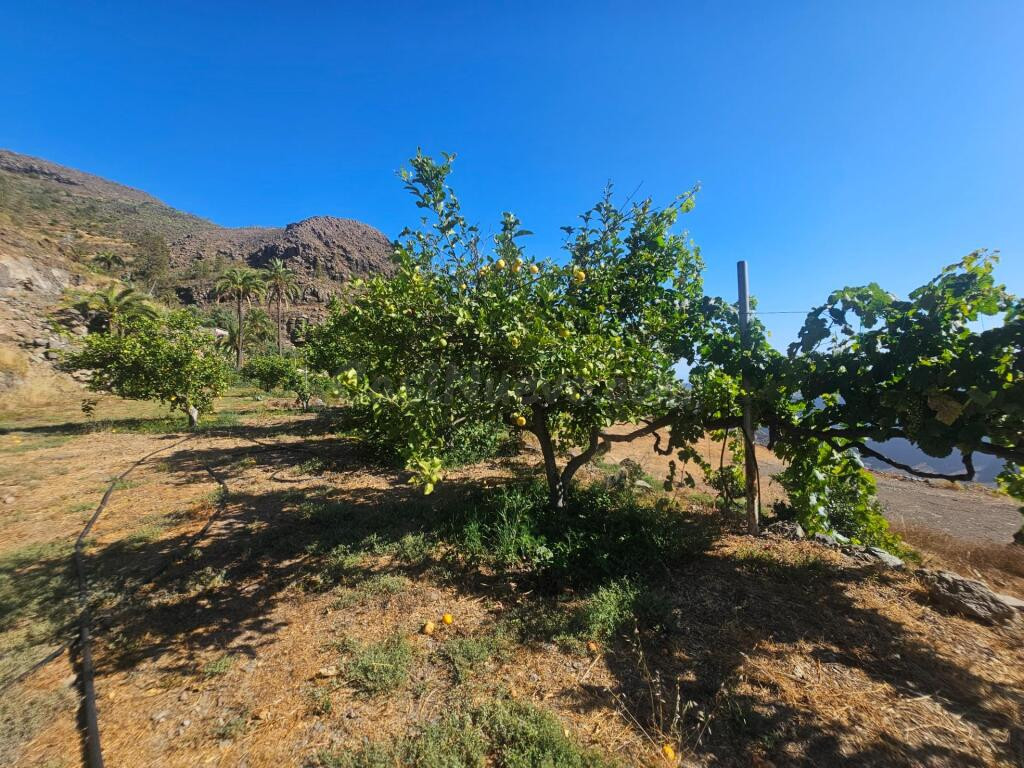 Finca rústica con vivienda, segunda edificación y 17.000 m2  - foto 5