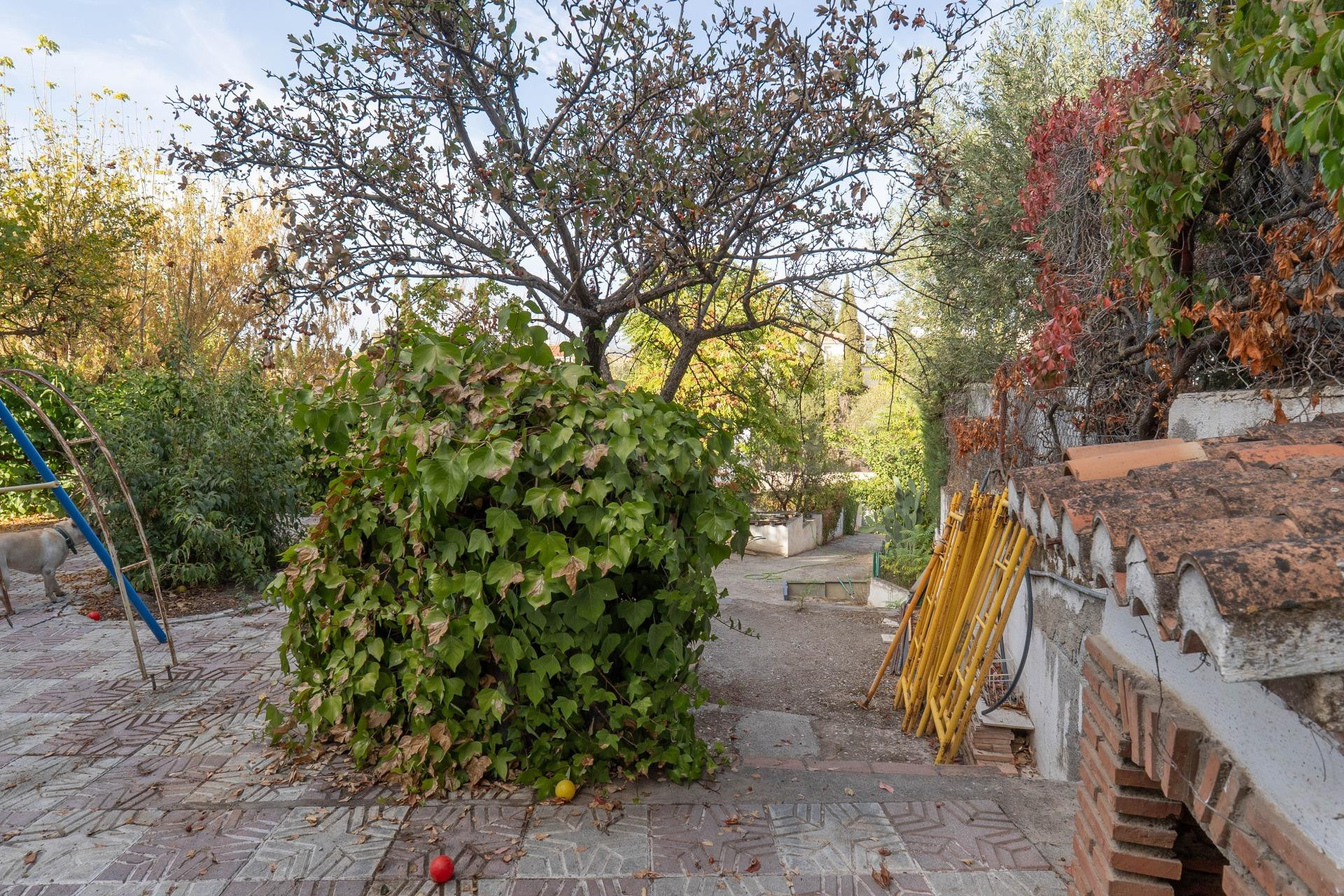 Vivienda independiente - foto 4