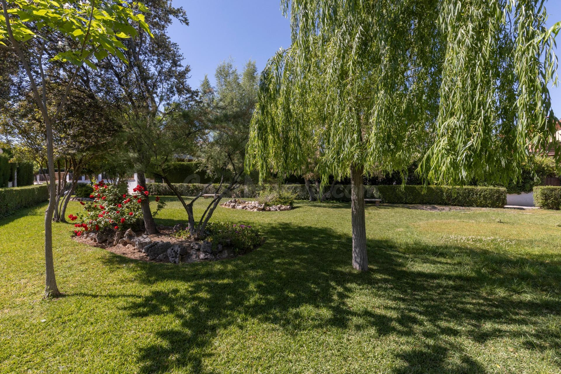 MAGNÍFICA CASA EN PANTANO DE CUBILLAS...CON MUCHO ESTILO Y R - foto 3