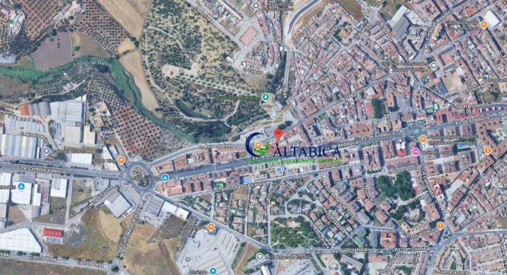 Local comercial en Venta en Linares Jaén - foto 5