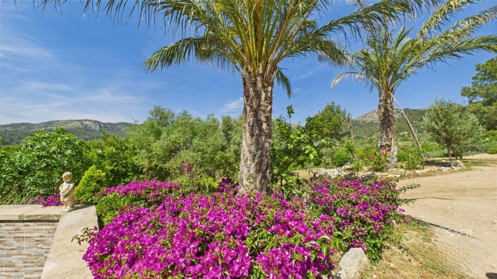 S'Arraco: Finca excepcional con piscina privada - foto 4