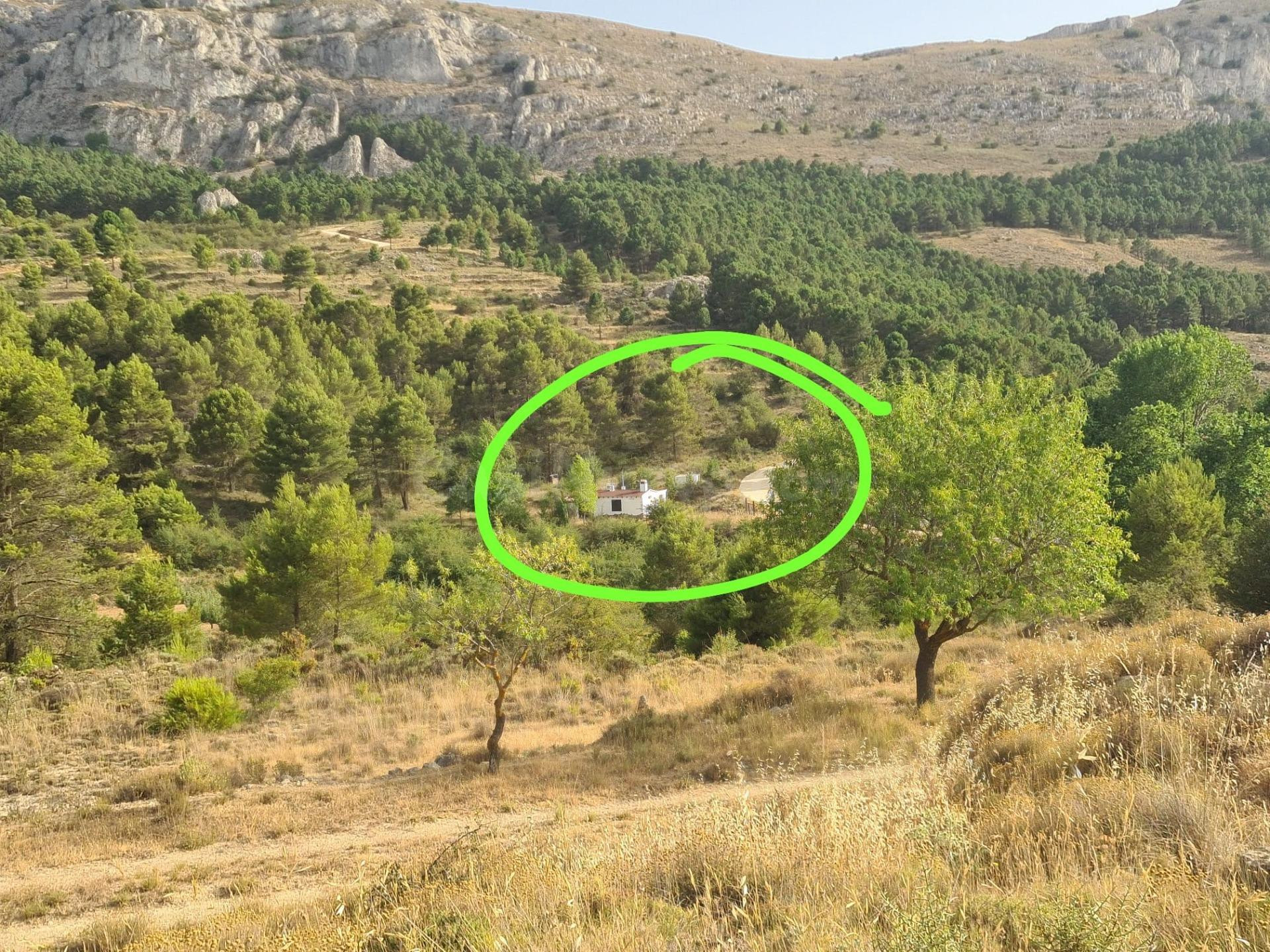 Finca en Confrides - foto 2
