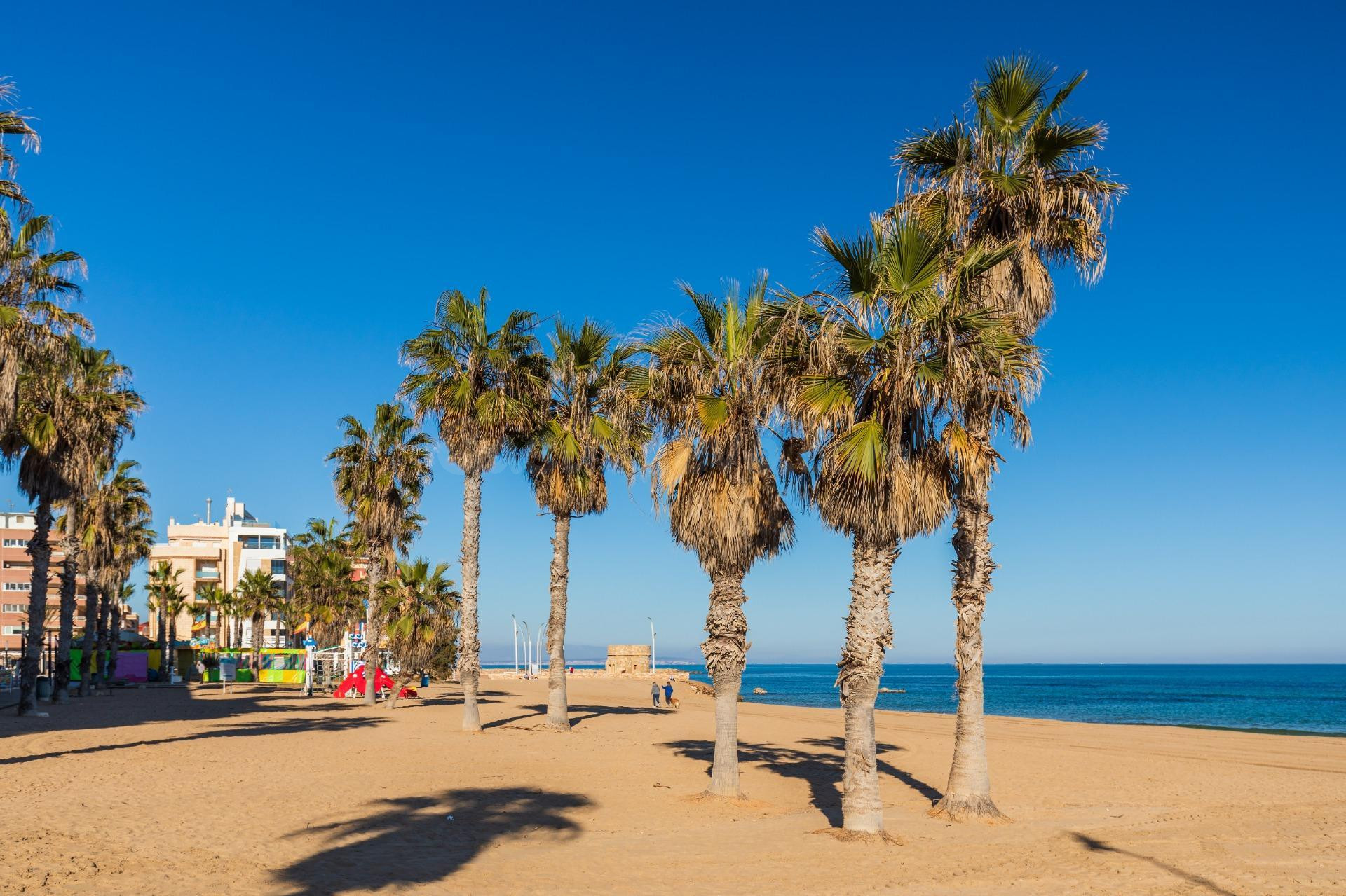 ¡Oportunidad Única en La Mata! Ático de 1 dormitorio a 350 metros del mar. ✨