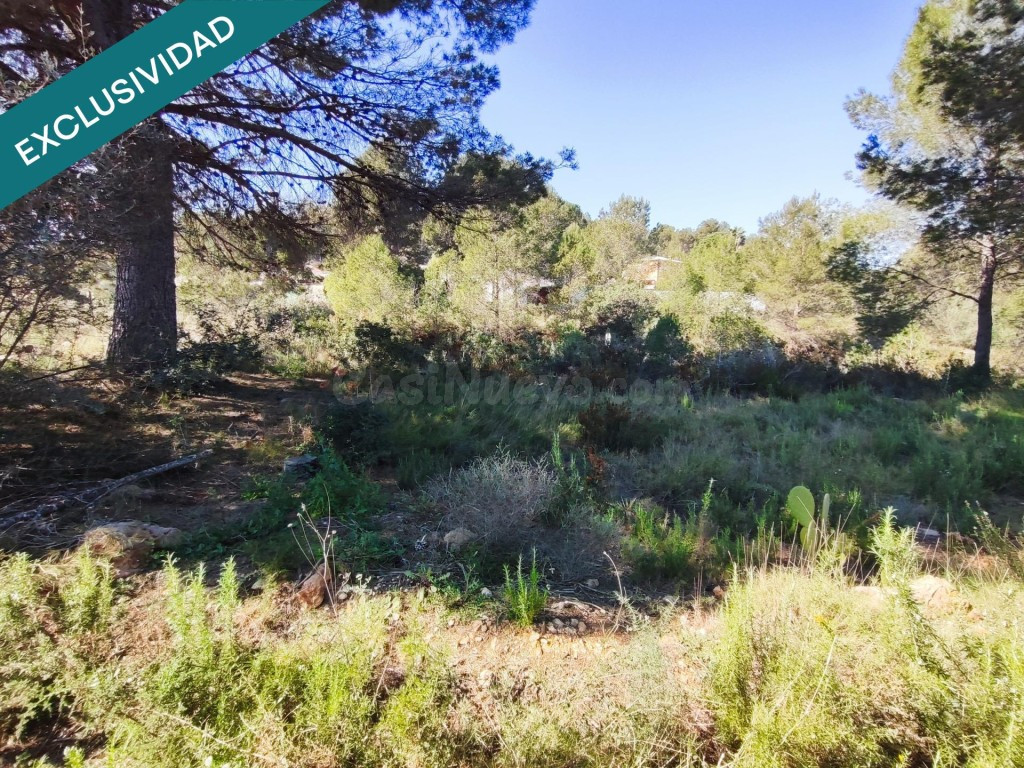 parcela rustica en Alfara de la baronia - foto 2