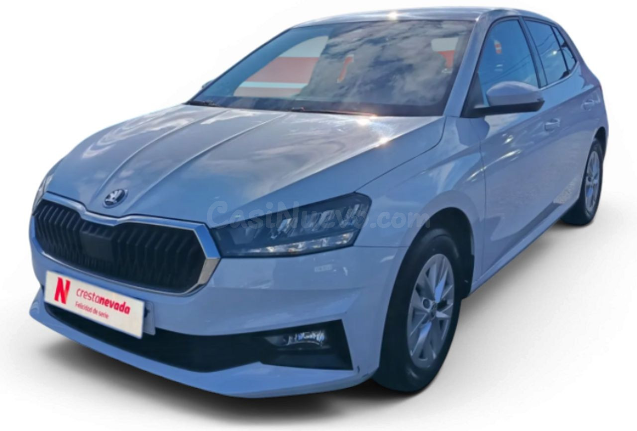 Skoda Fabia 1.0 MPI 59KW 80CV Selection