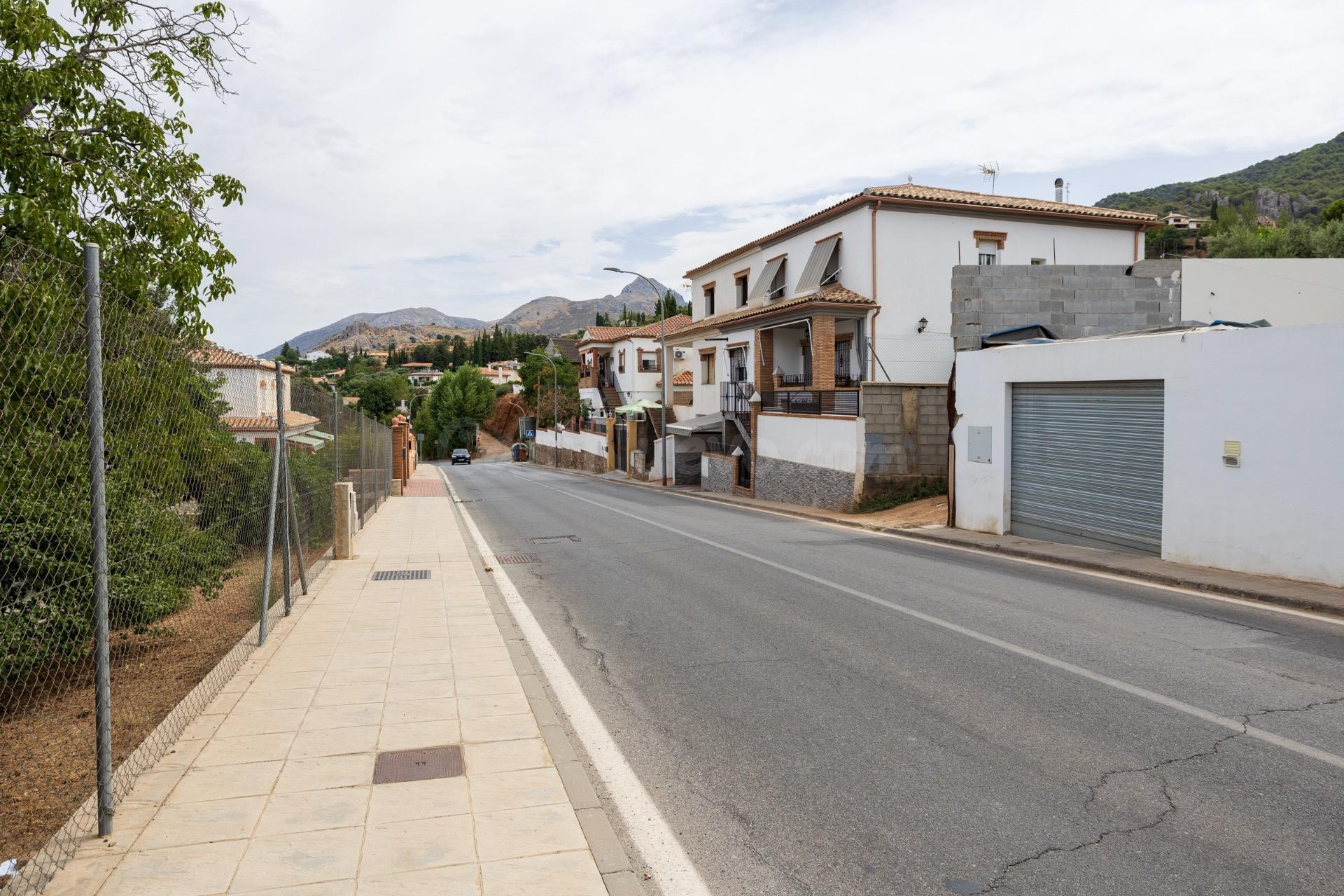 GRAN FINCA URBANA EN NIVAR! - foto 3