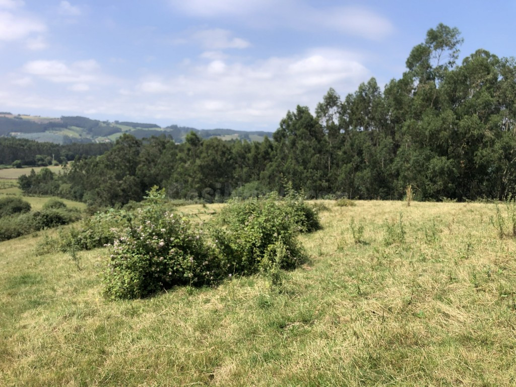 Casa de pueblo en Venta en Concha, La (Villaescu) Cantabria - foto 2