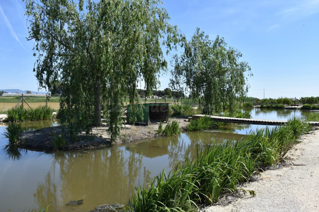 Finca rustica en el Parque natural del Delta del Ebro!