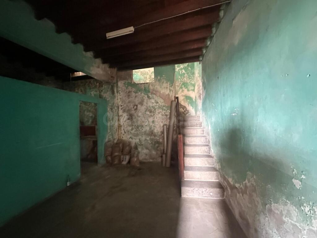 Casa Terrera el cardonal - foto 4