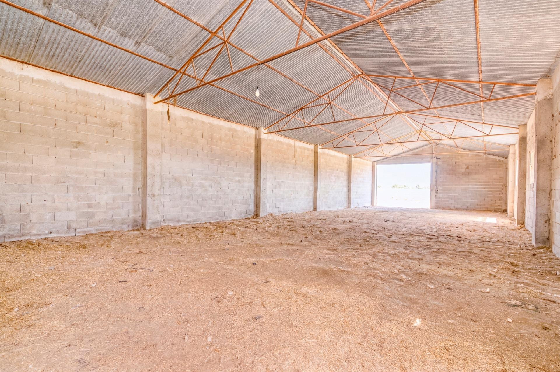 FINCA EN ATARFE CON DOS NAVES Y COBERTIZO - foto 4