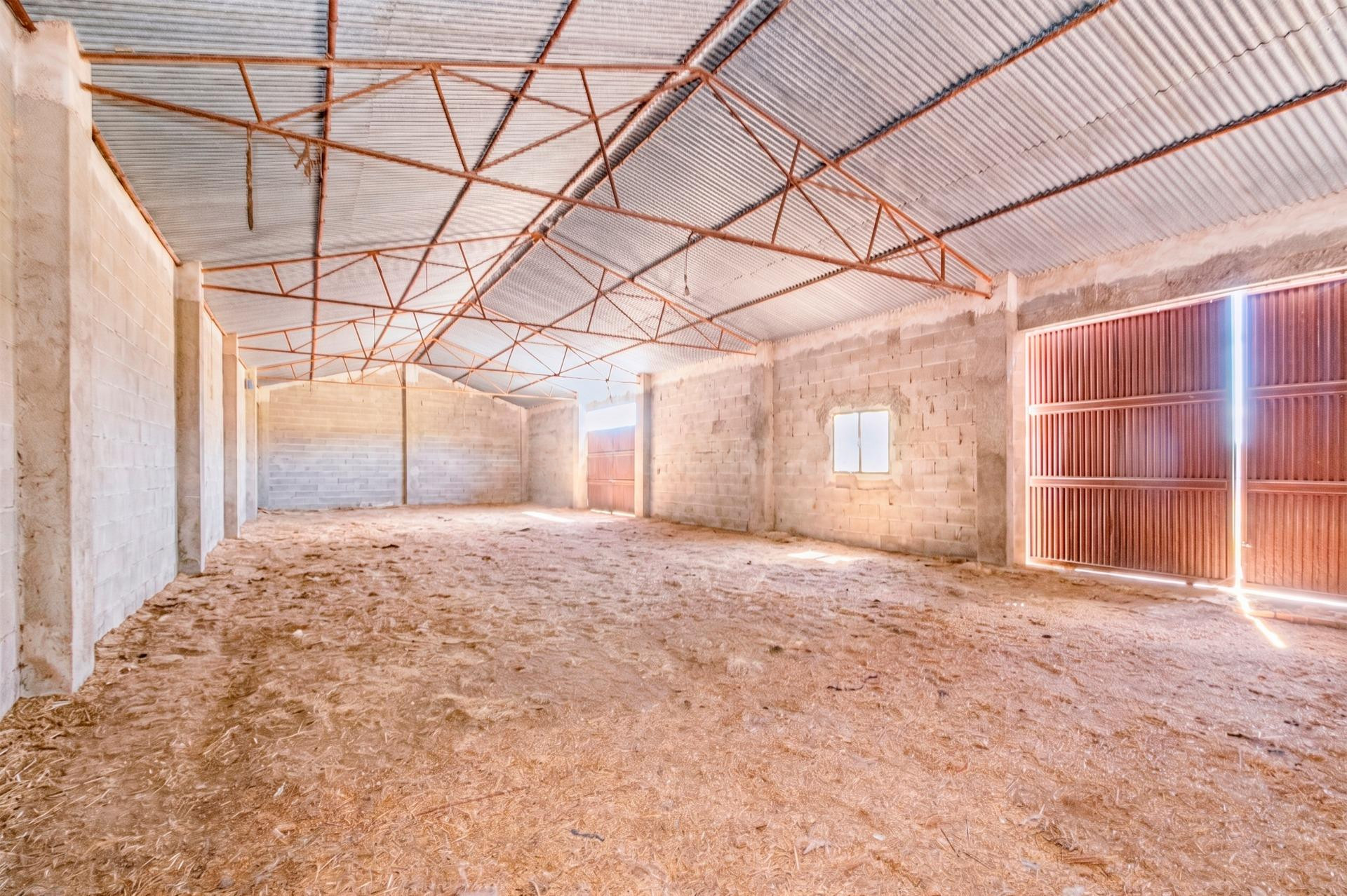 FINCA EN ATARFE CON DOS NAVES Y COBERTIZO - foto 5
