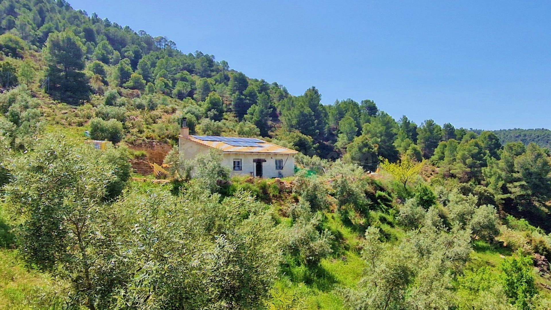 ¡Oportunidad en Jayena! Finca de Olivar con Casita y Luz Sol