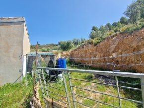 ¡Oportunidad en Jayena! Finca de Olivar con Casita y Luz Sol - foto 5