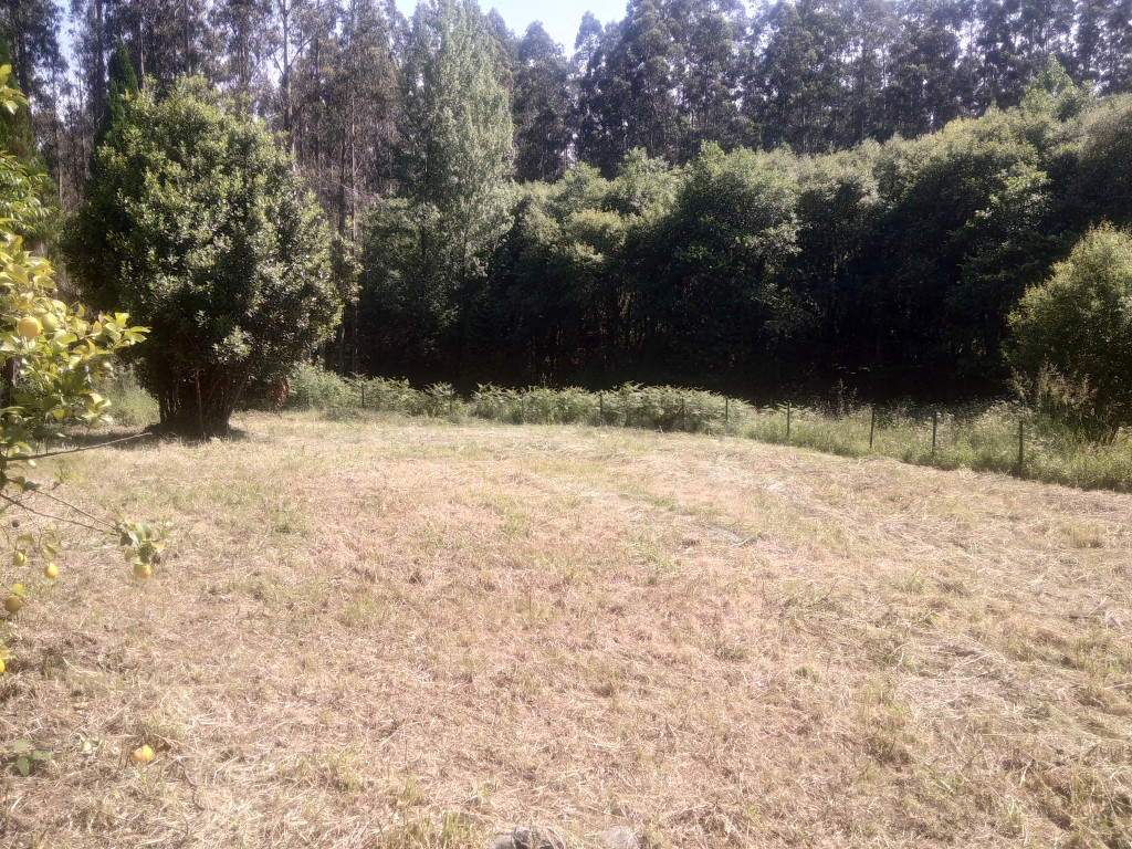 Casa de campo-Masía en Venta en Cedeira La Coruña - foto 3