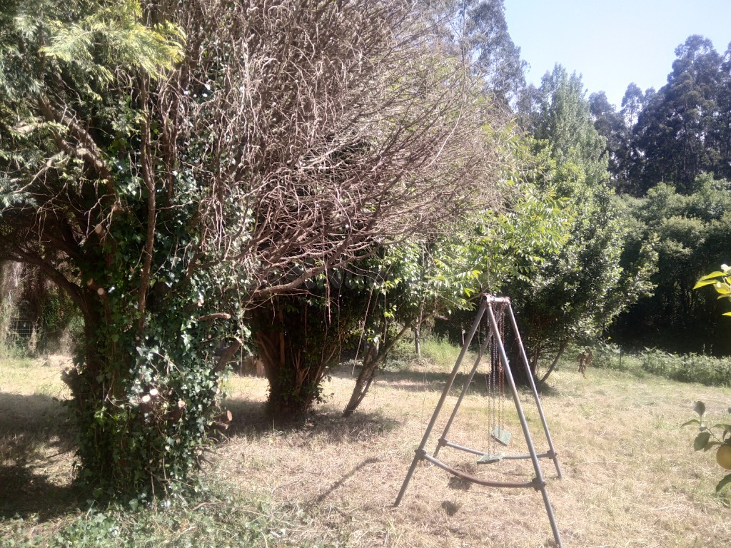 Casa de campo-Masía en Venta en Cedeira La Coruña - foto 5
