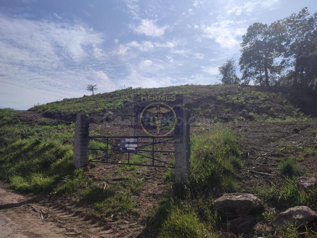 Terreno rusticos de 6164 M2 en Pexegueiro Tui - foto 3