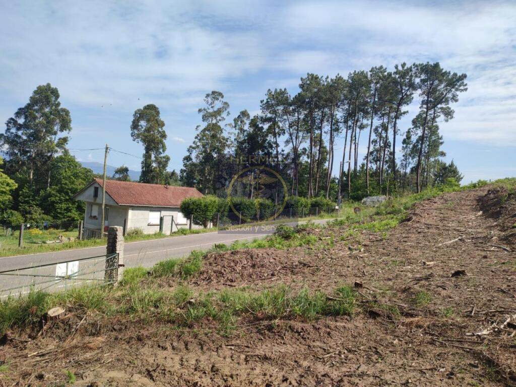 Terreno rusticos de 6164 M2 en Pexegueiro Tui - foto 4