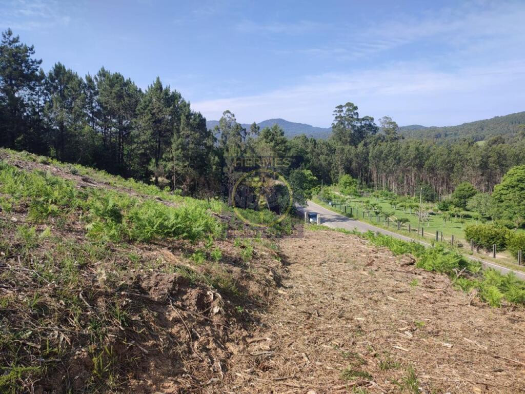 Terreno rusticos de 6164 M2 en Pexegueiro Tui - foto 5