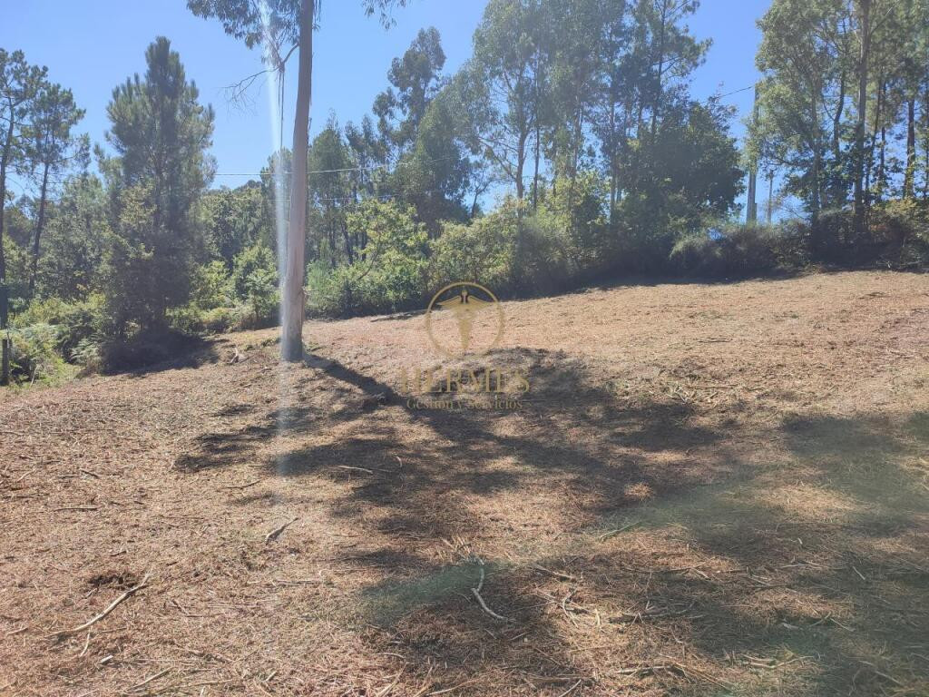 Terreno rustico fantástica ubicación - foto 2