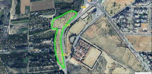 ✨ ¡MAGNÍFICA FINCA RÚSTICA DE 7.716 m2 EN BENIJÓFAR! ✨ - foto 5