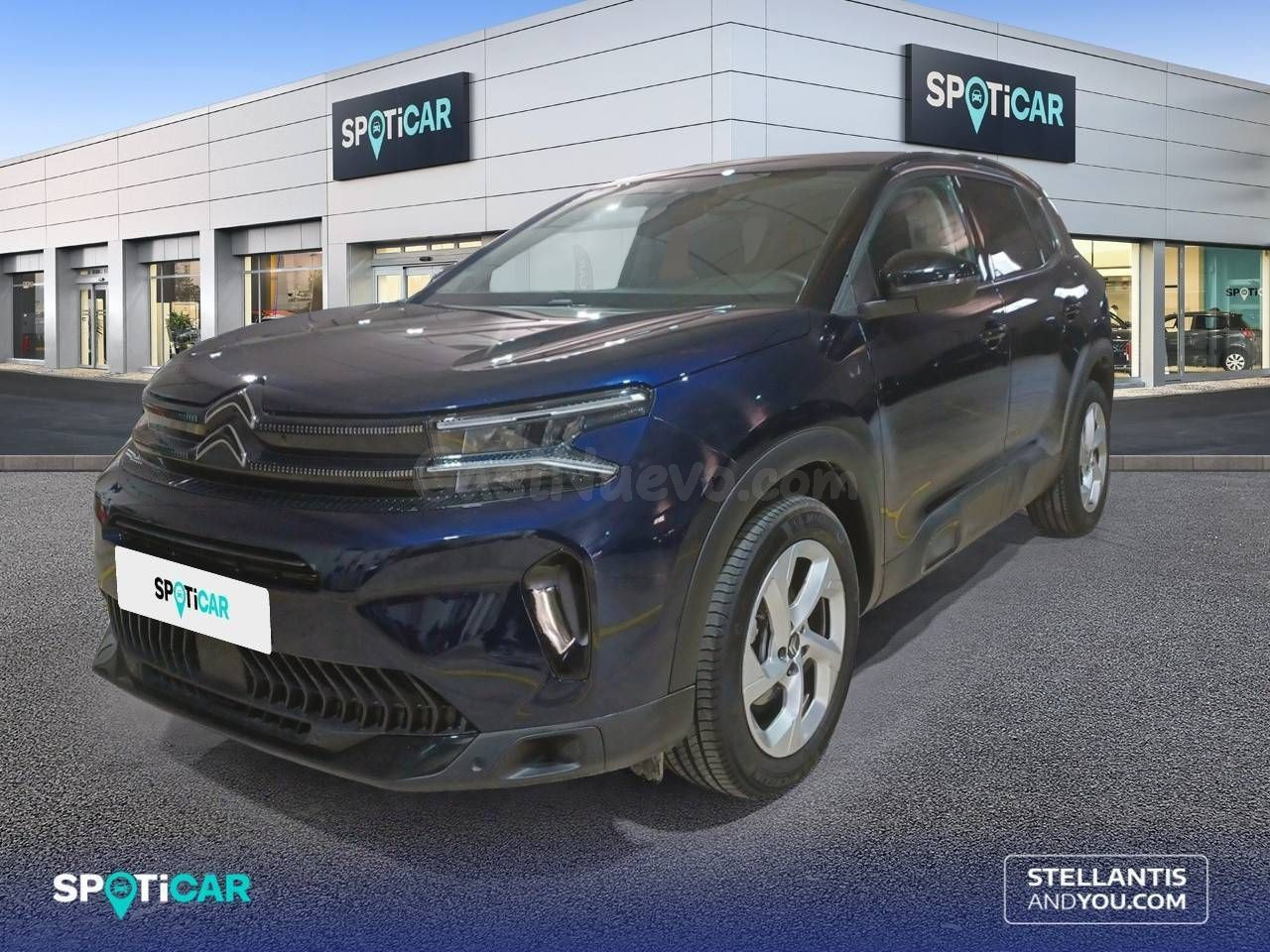 Citroën C5 Aircross BlueHdi 96kW (130CV) S&S EAT8 Plus